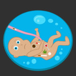 Your Child’s Diet Habits In Utero