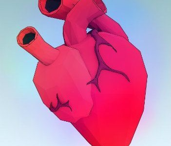 Heart Illustration
