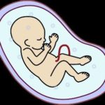 Things You Didn’t Know About Pregnancy