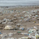 Is Plastic Pollution Destroying Our Health?