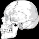 New Guidelines For Treating Youth Concussions