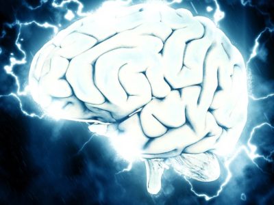 picture of the brain